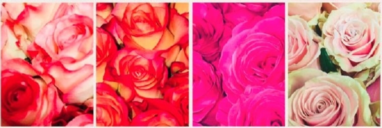 Best Flower Delivery Geneva | Minaflor