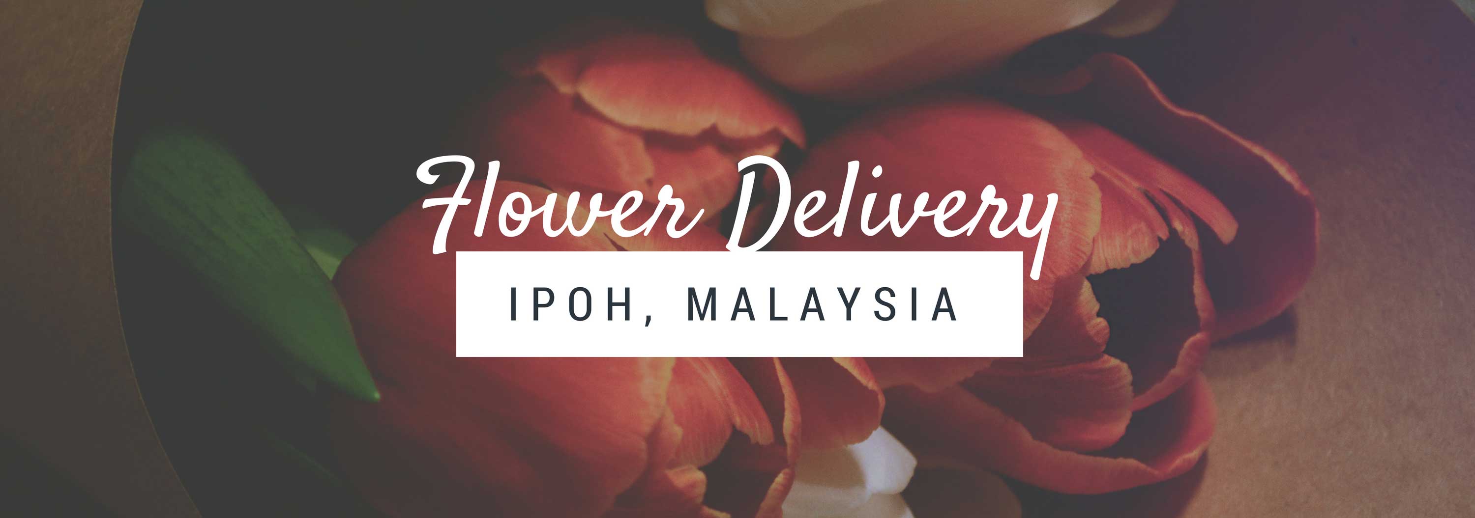 5 Best Options for Flower Delivery in Ipoh