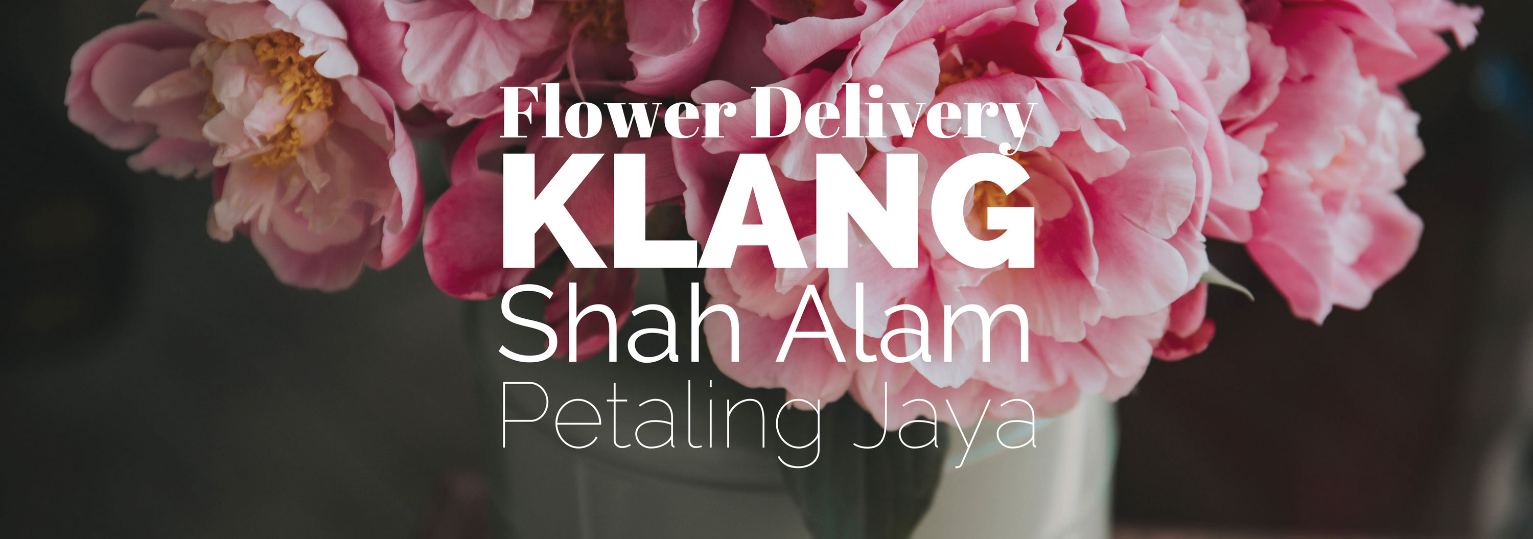 8 Best Options for Flower Delivery in Klang, Shah Alam and Petaling Jaya