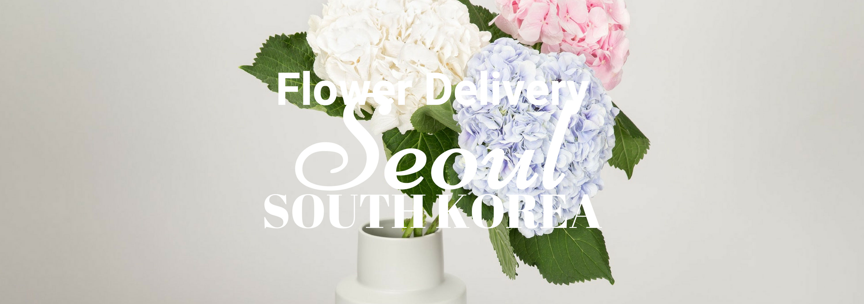 8 Best Options for Flower Delivery in Seoul and South Korea