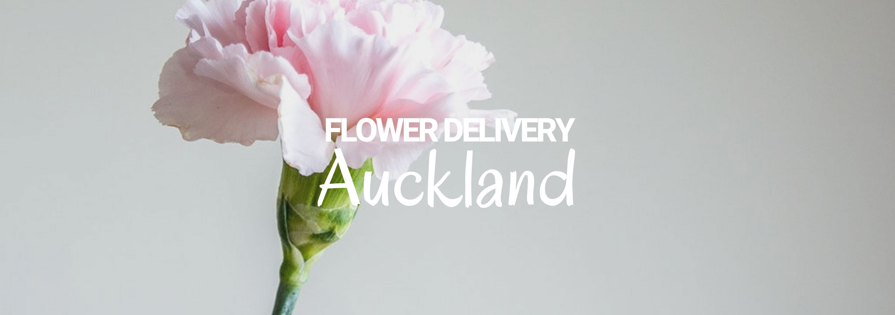 5 Best Options for Flower Delivery in Auckland