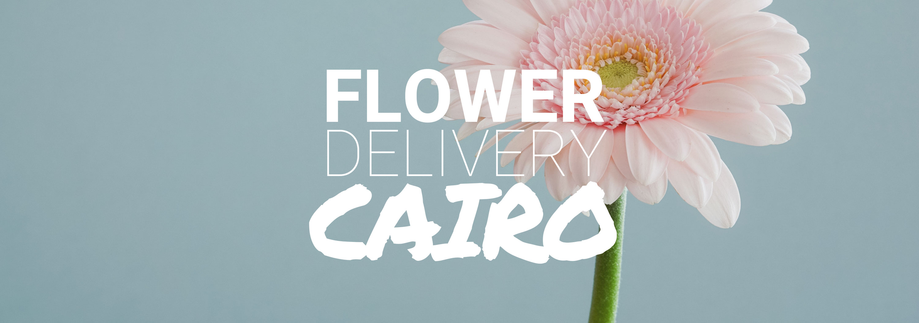 5 Best Options for Flower Delivery in Cairo