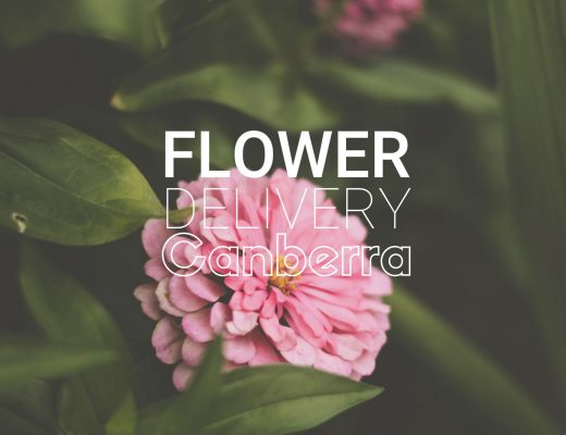 The 7 Best Options for Flower Delivery in Canberra