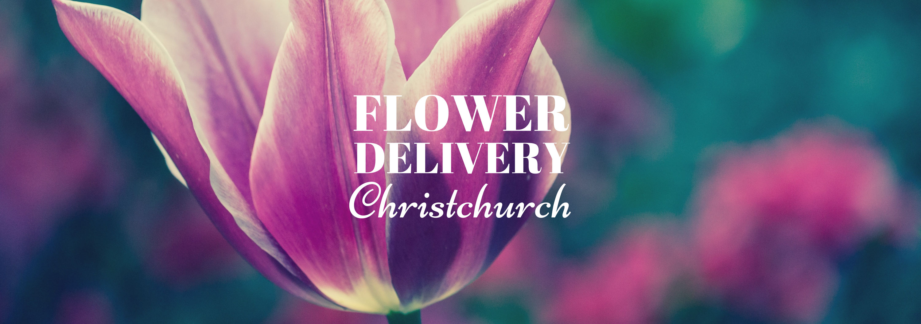 5 Best Options for Flower Delivery in Christchurch