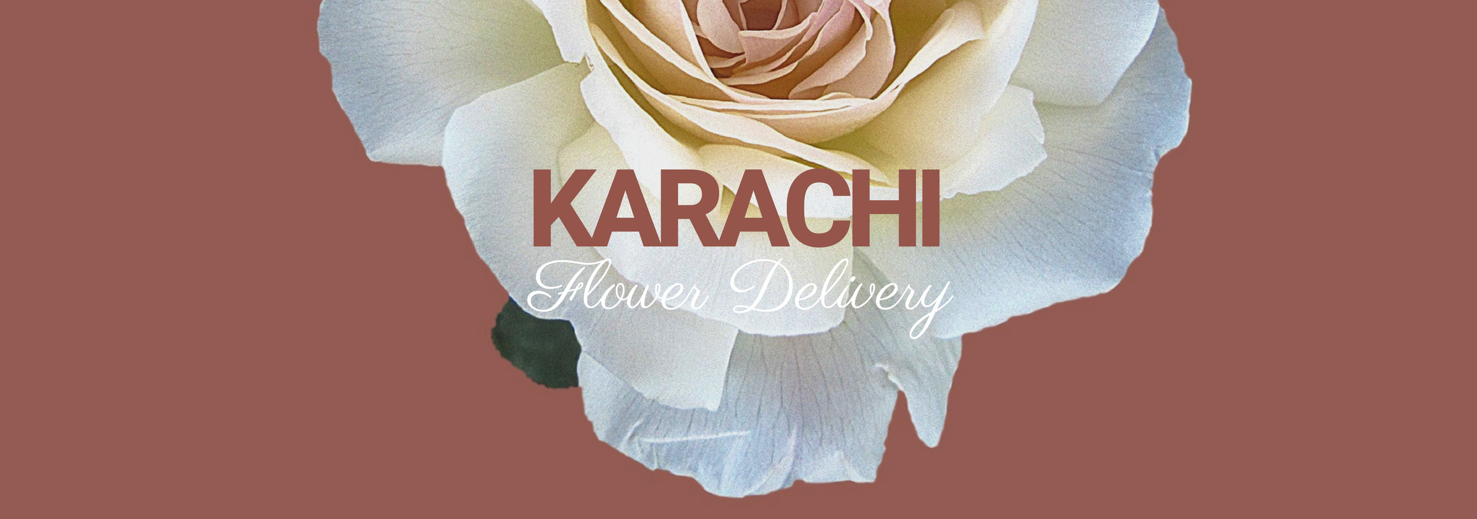 5 Best Options for Flower Delivery in Karachi