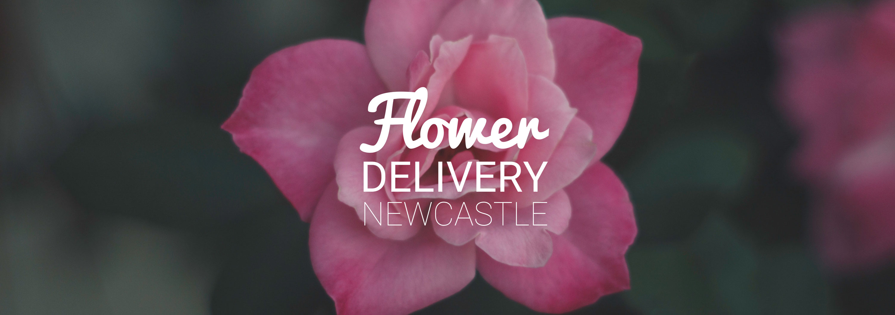 5 Best Options for Flower Delivery in Newcastle