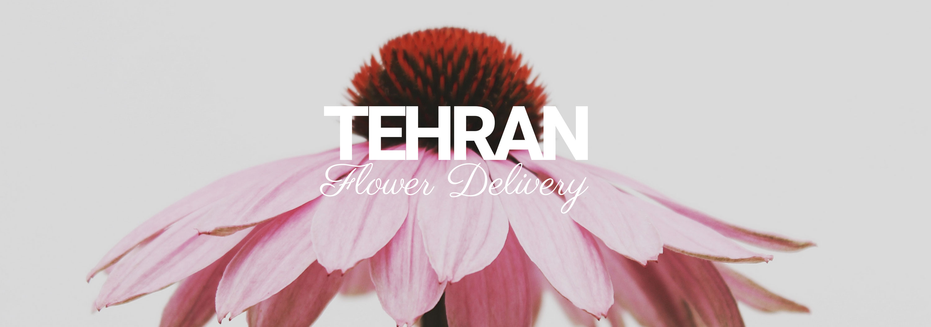 5 Best Options for Flower Delivery in Tehran