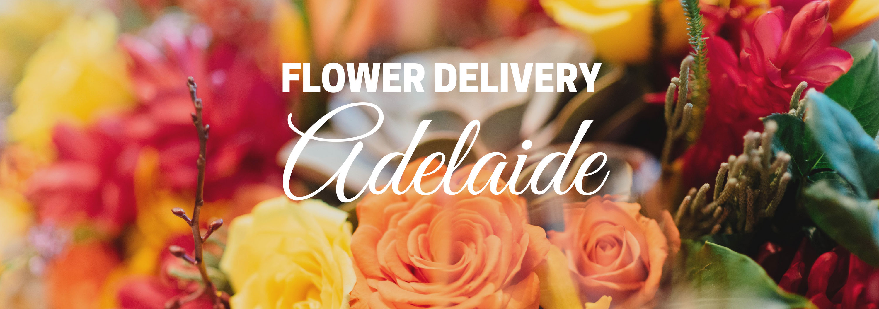 8 Best Options for Flower Delivery in Adelaide