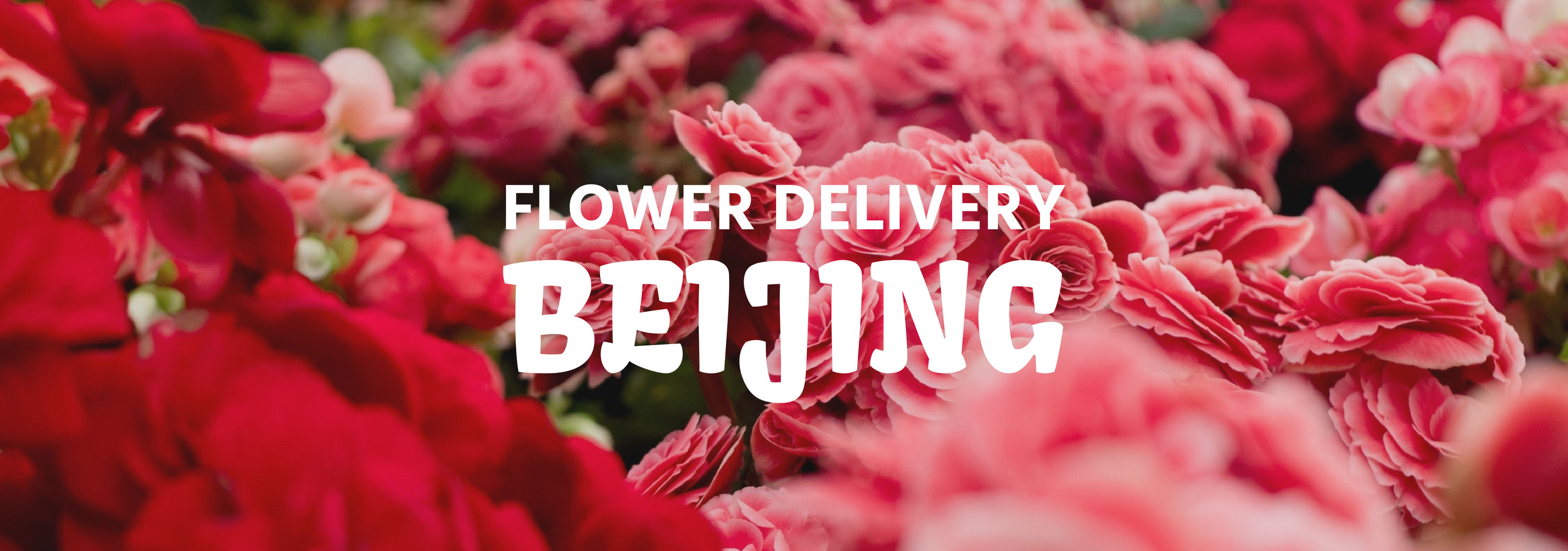 8 Best Options for Flower Delivery in Beijing
