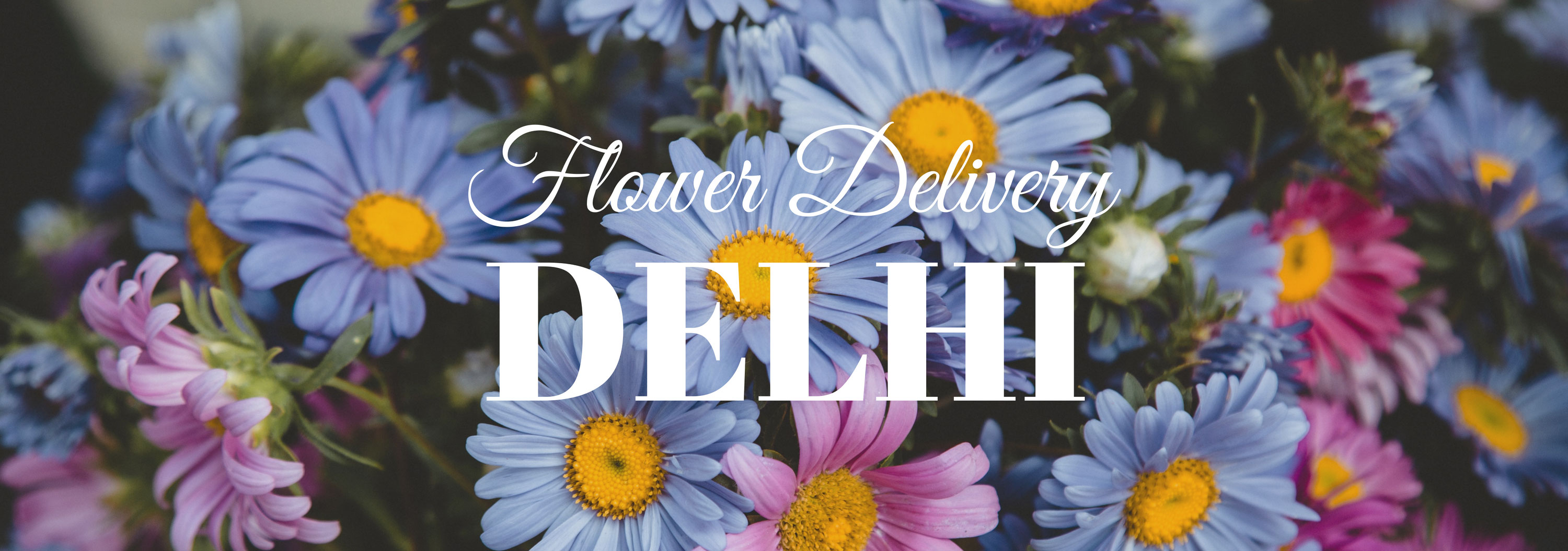 8 Best Options for Flower Delivery in Delhi