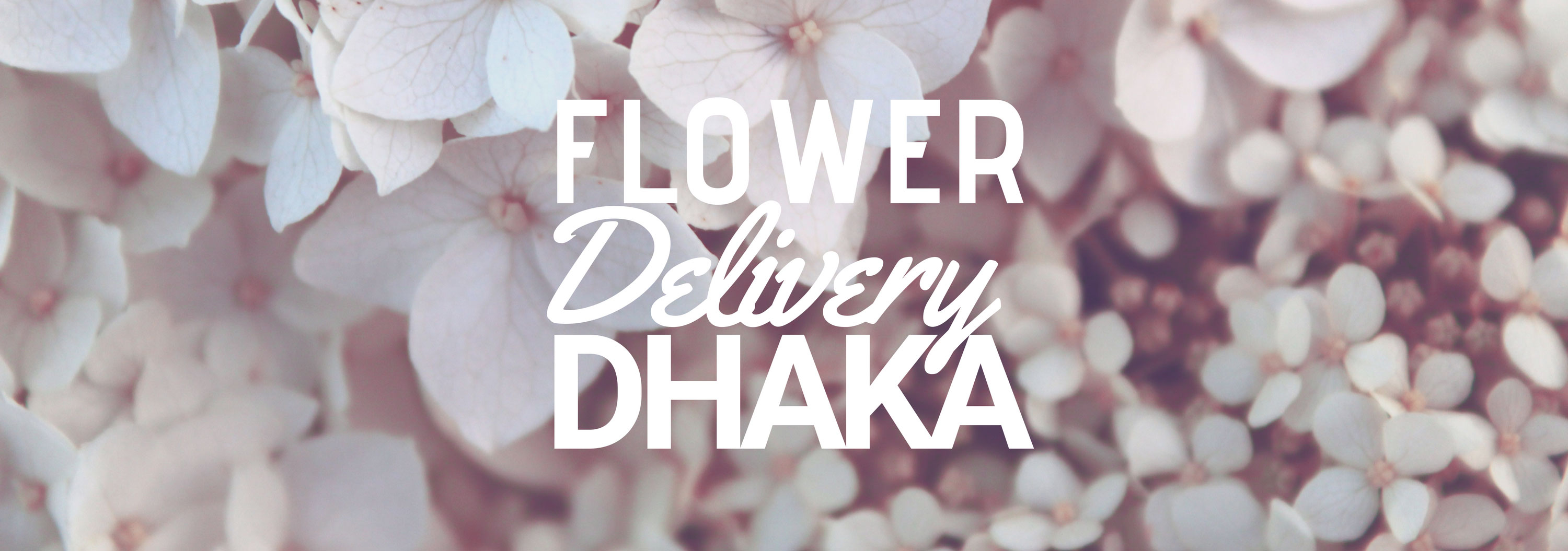 8 Best Options for Flower Delivery in Dhaka