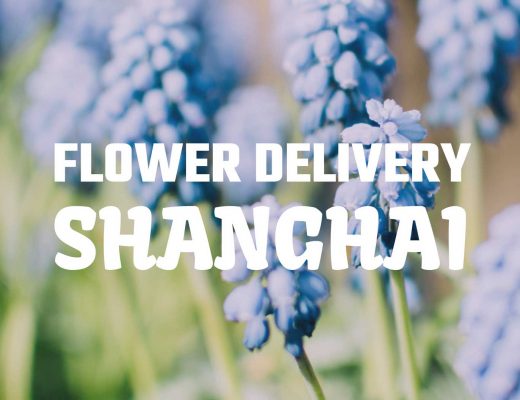 The 5 Best Options for Flower Delivery in Shanghai