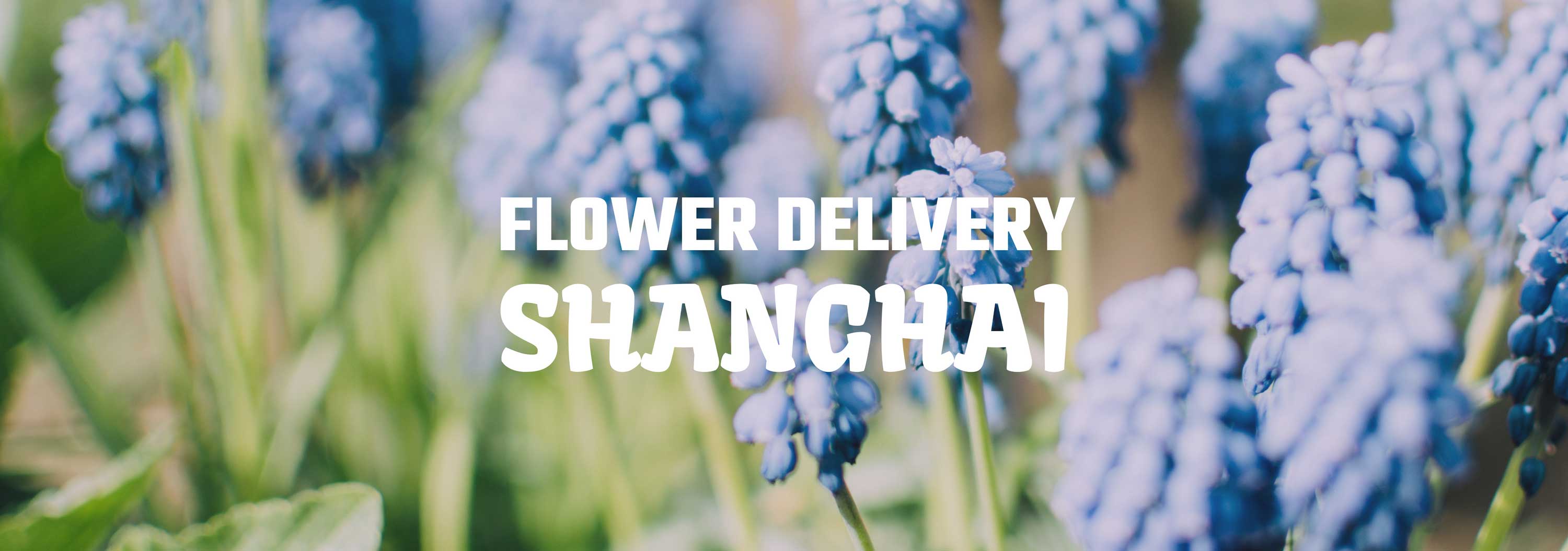 8 Best Options for Flower Delivery in Shanghai