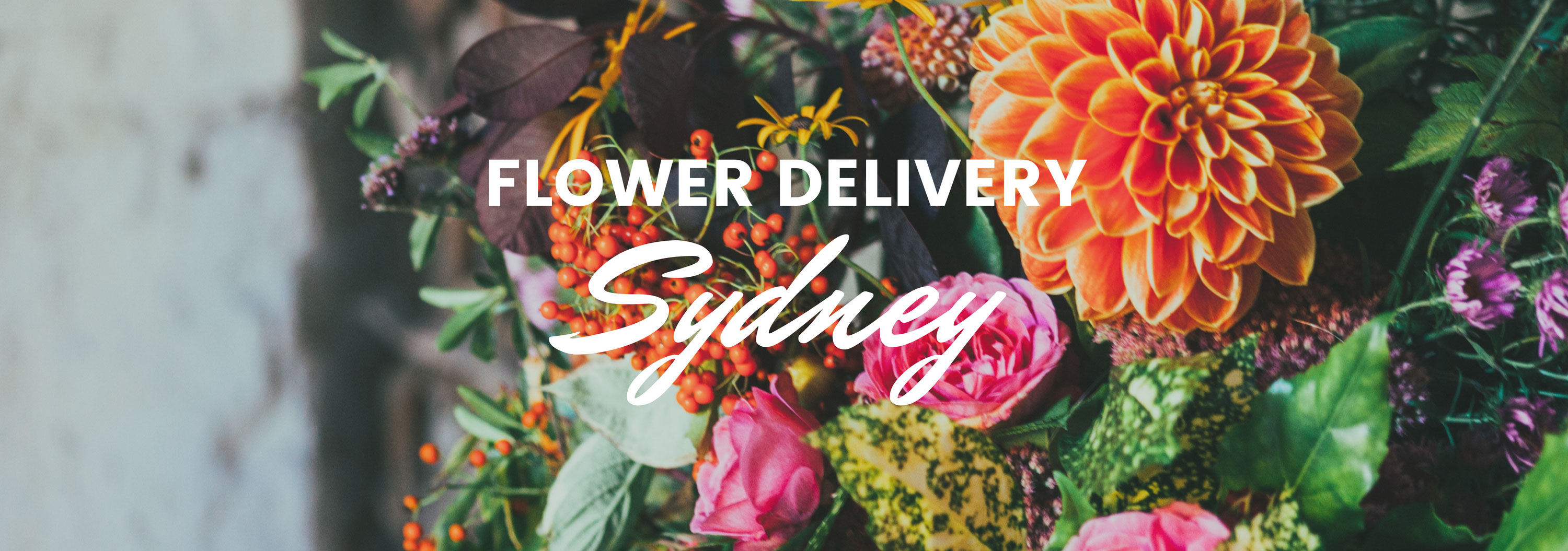 8 Best Options for Flower Delivery in Sydney