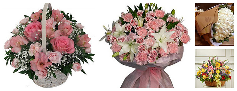 Best Flower Delivery Mumbai | Arena Flowers