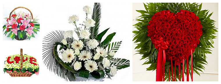 Best Flower Delivery Delhi | Buy Flower
