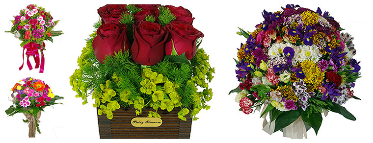 Best Flower Delivery Tehran | Paliz Flowers