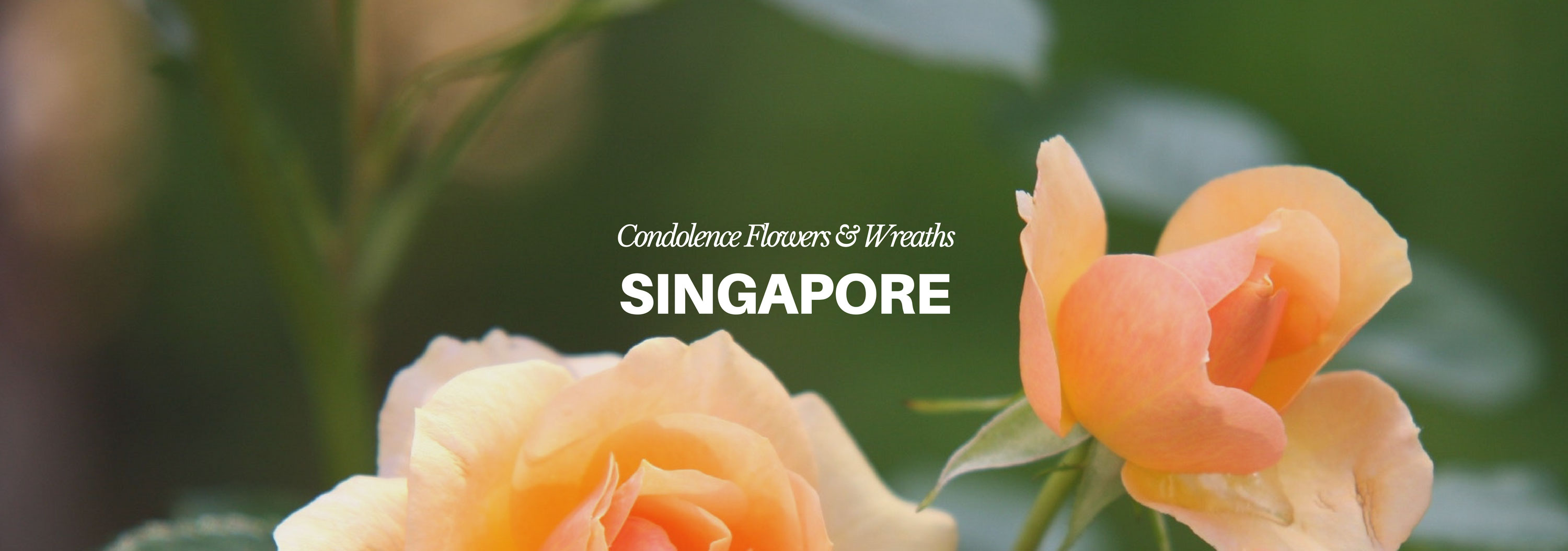 5 Best Options for Condolence Flowers and Wreaths in Singapore