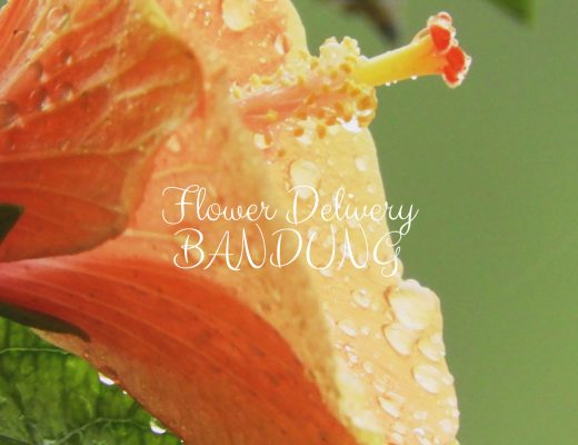 The 5 Best Options for Flower Delivery in Bandung