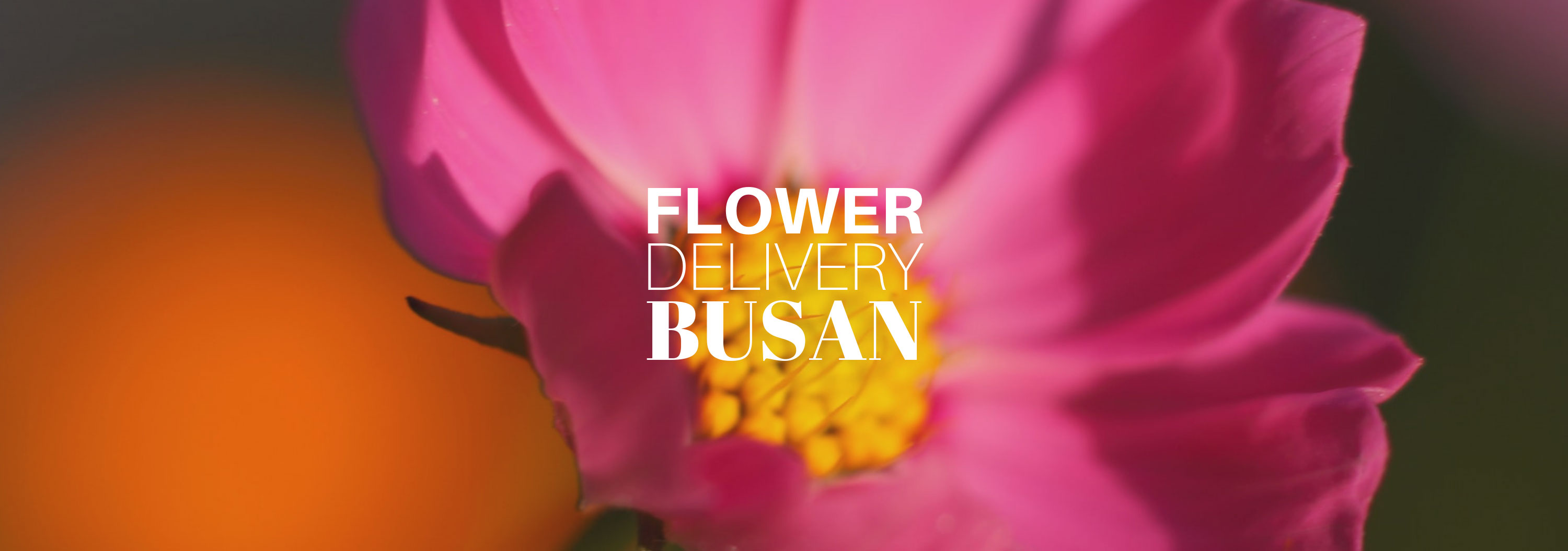 5 Best Options for Flower Delivery in Busan