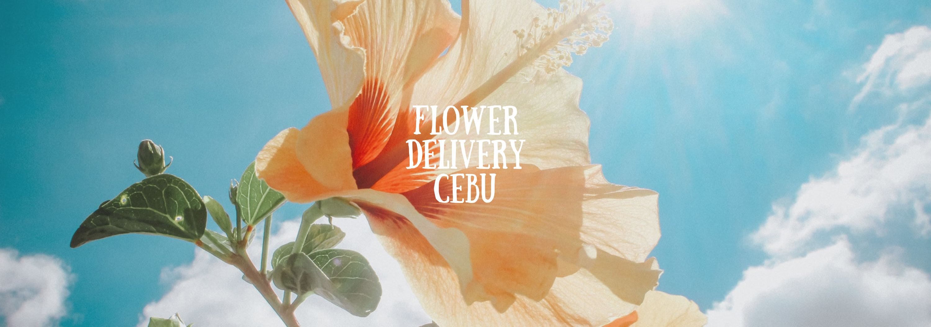 5 Best Options for Flower Delivery in Cebu