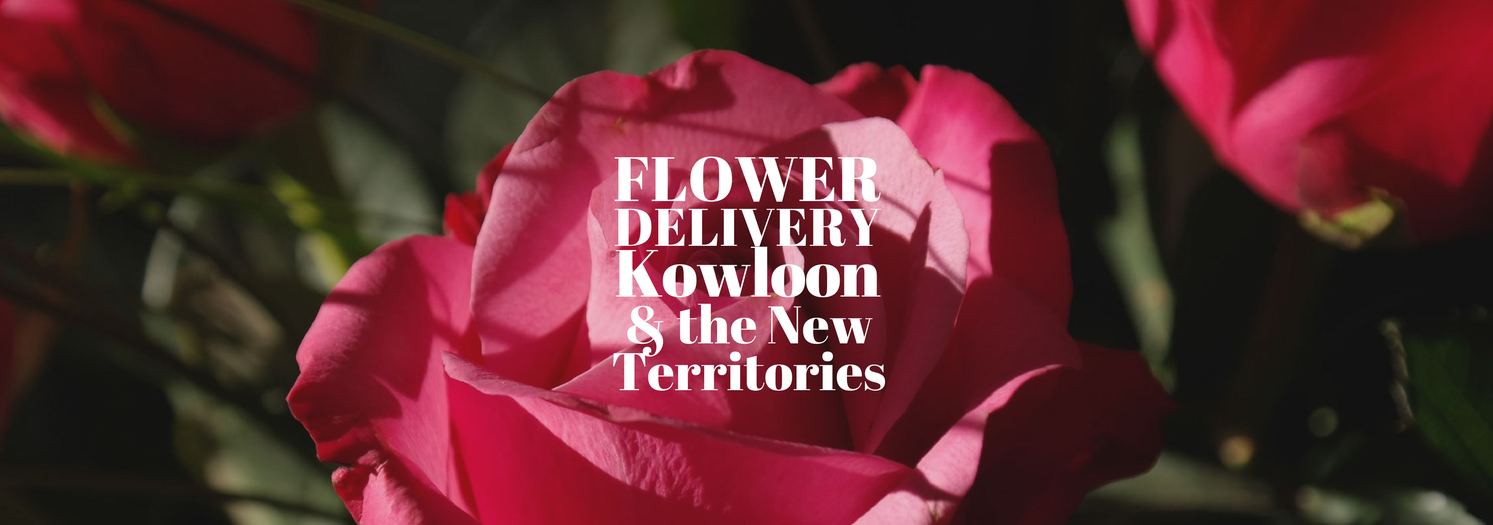 5 Best Options for Flower Delivery in Kowloon and the New Territories