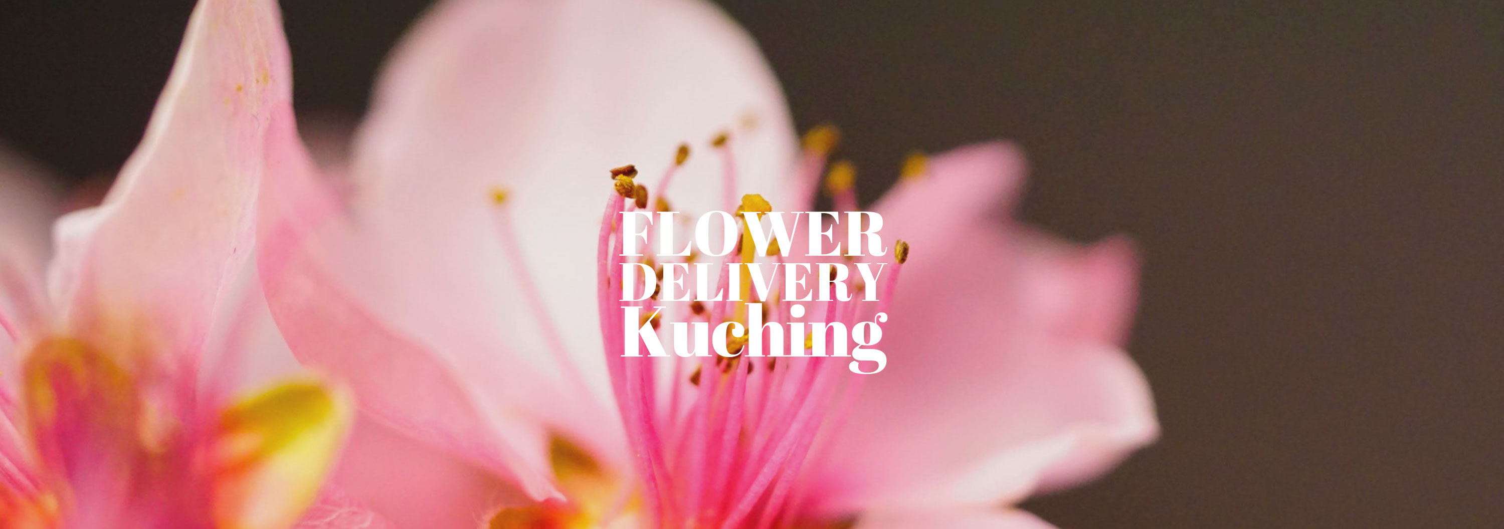5 Best Options for Flower Delivery in Kuching
