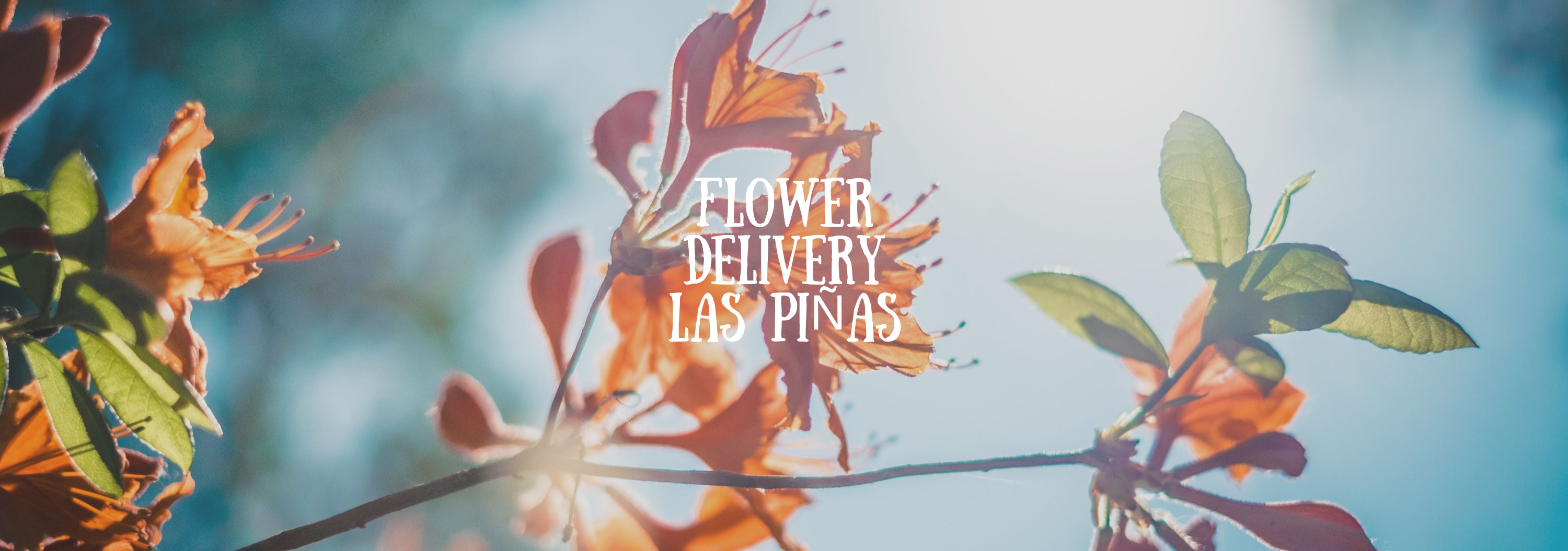 5 Best Options for Flower Delivery in Las Pinas