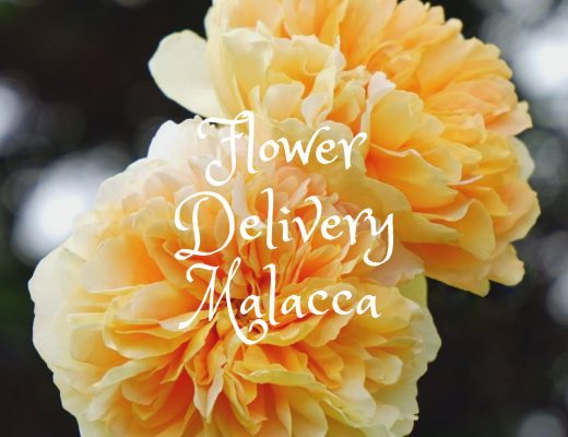 The 7 Best Options for Flower Delivery in Malacca