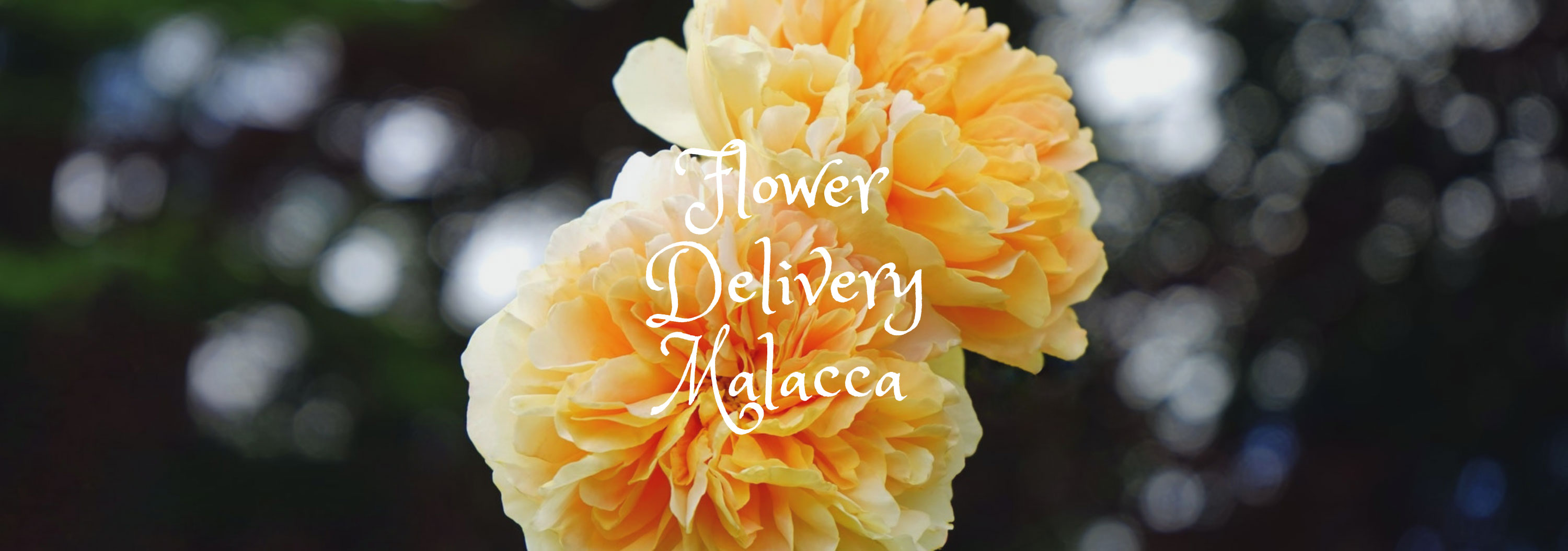 5 Best Options for Flower Delivery in Malacca