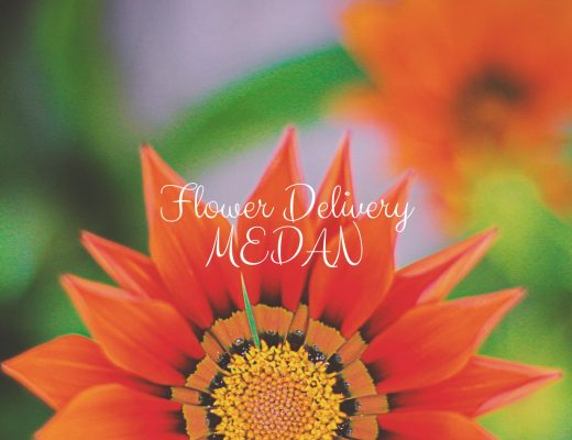 5 Best Options for Flower Delivery in Medan