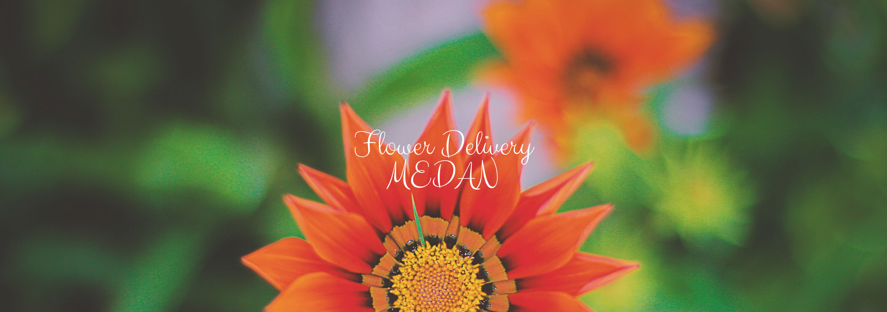 5 Best Options for Flower Delivery in Medan