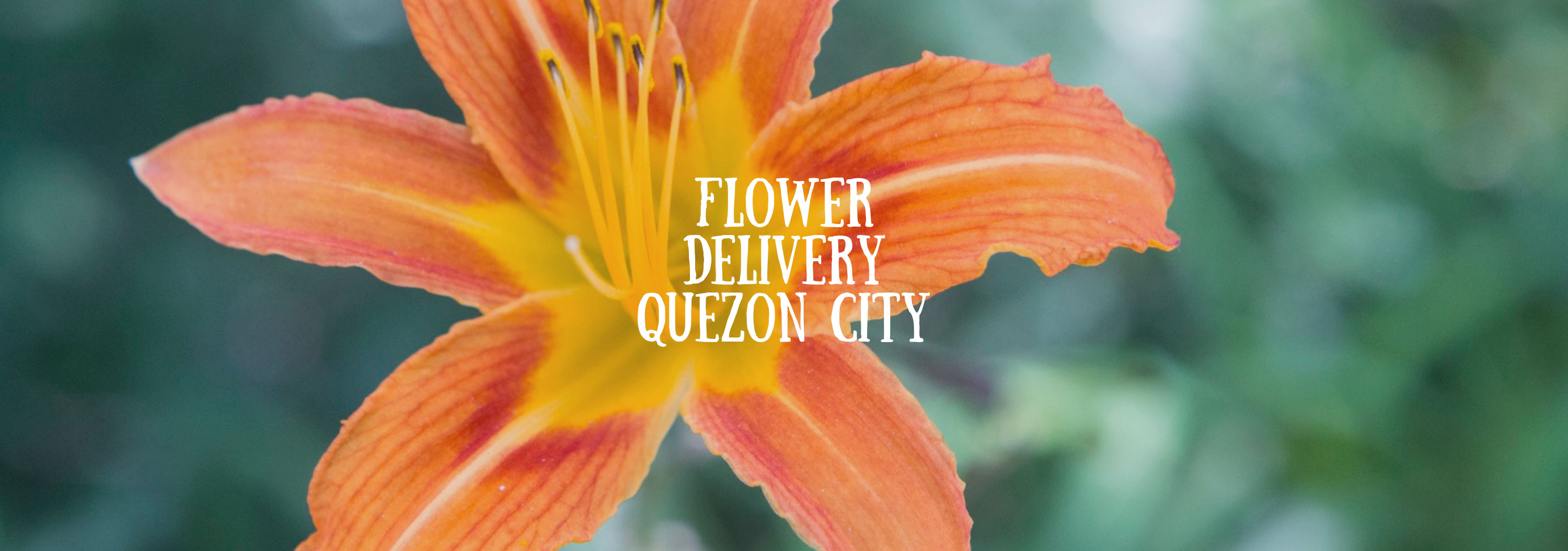 5 Best Options for Flower Delivery in Quezon City