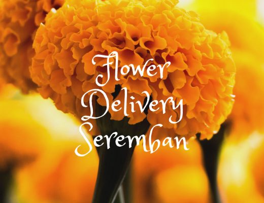 5 Best Options for Flower Delivery in Seremban