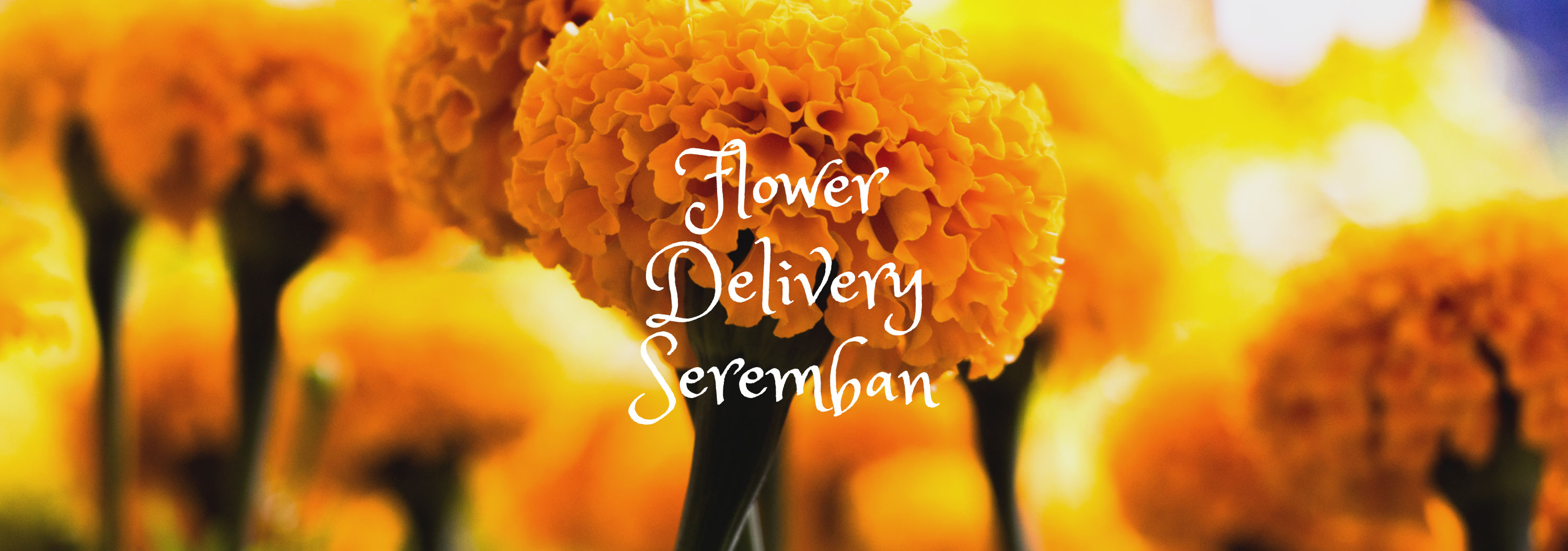 5 Best Options for Flower Delivery in Seremban