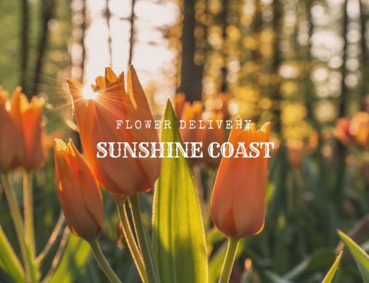 The 6 Best Options for Flower Delivery in Sunshine Coast