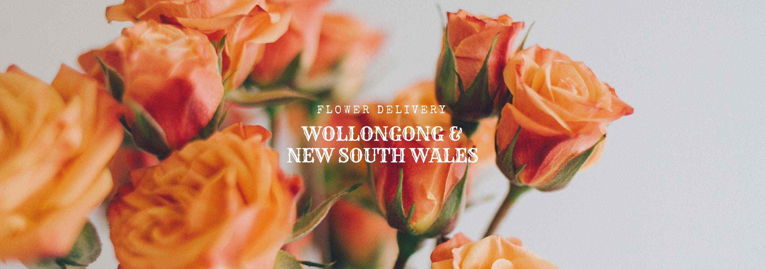 5 Best Options for Flower Delivery in Wollongong and New South Wales