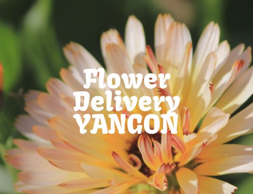 The 7 Best Options for Flower Delivery in Yangon