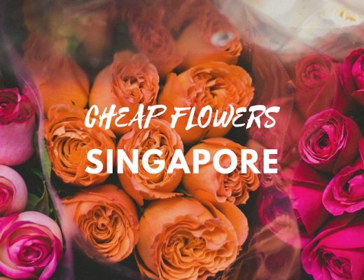 5 Best Options for Cheap Flowers in Singapore