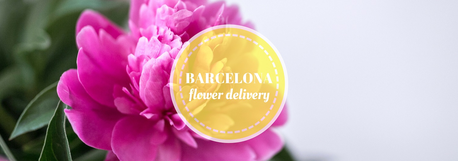 5 Best Options for Flower Delivery in Barcelona