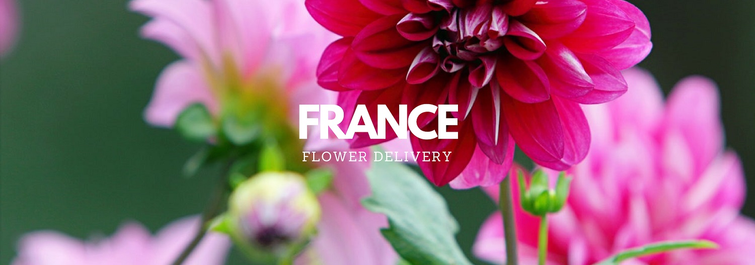 5 Best Options for Flower Delivery in France