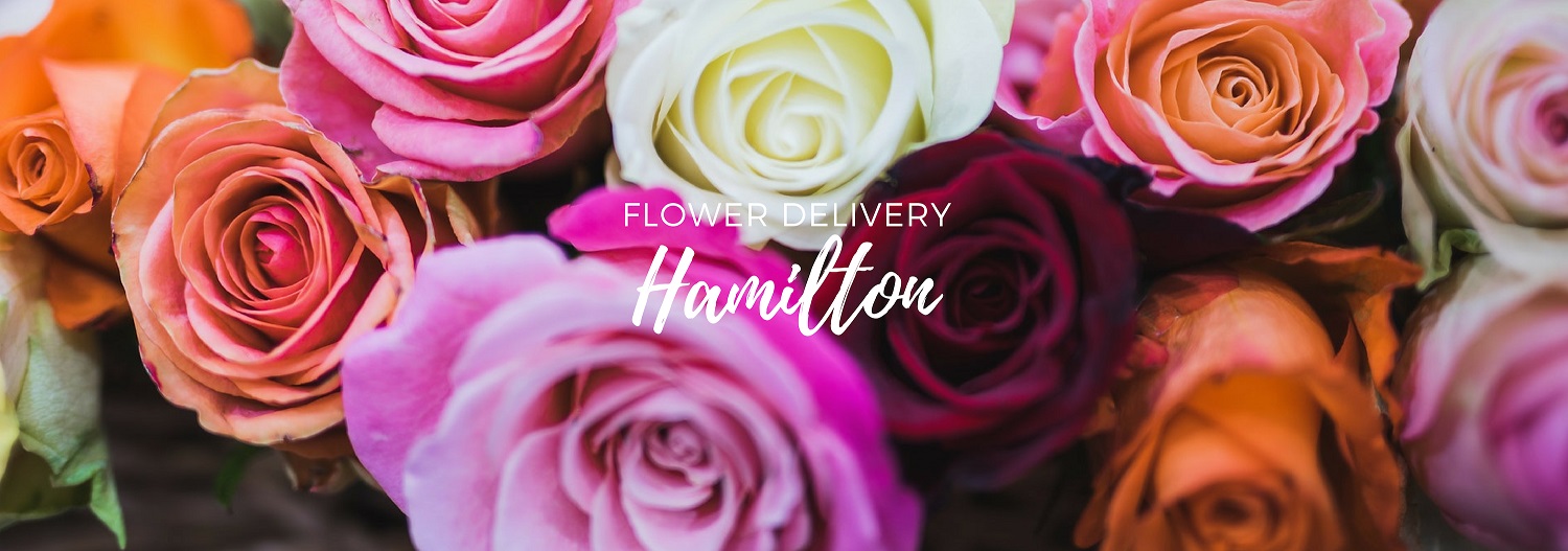 5 Best Options for Flower Delivery in Hamilton