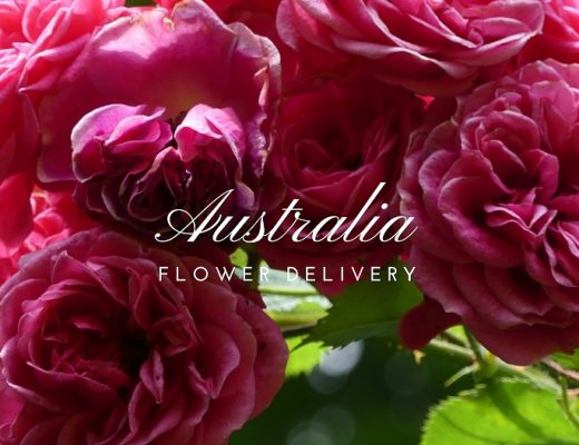 The 6 Best Options for Flower Delivery in Australia