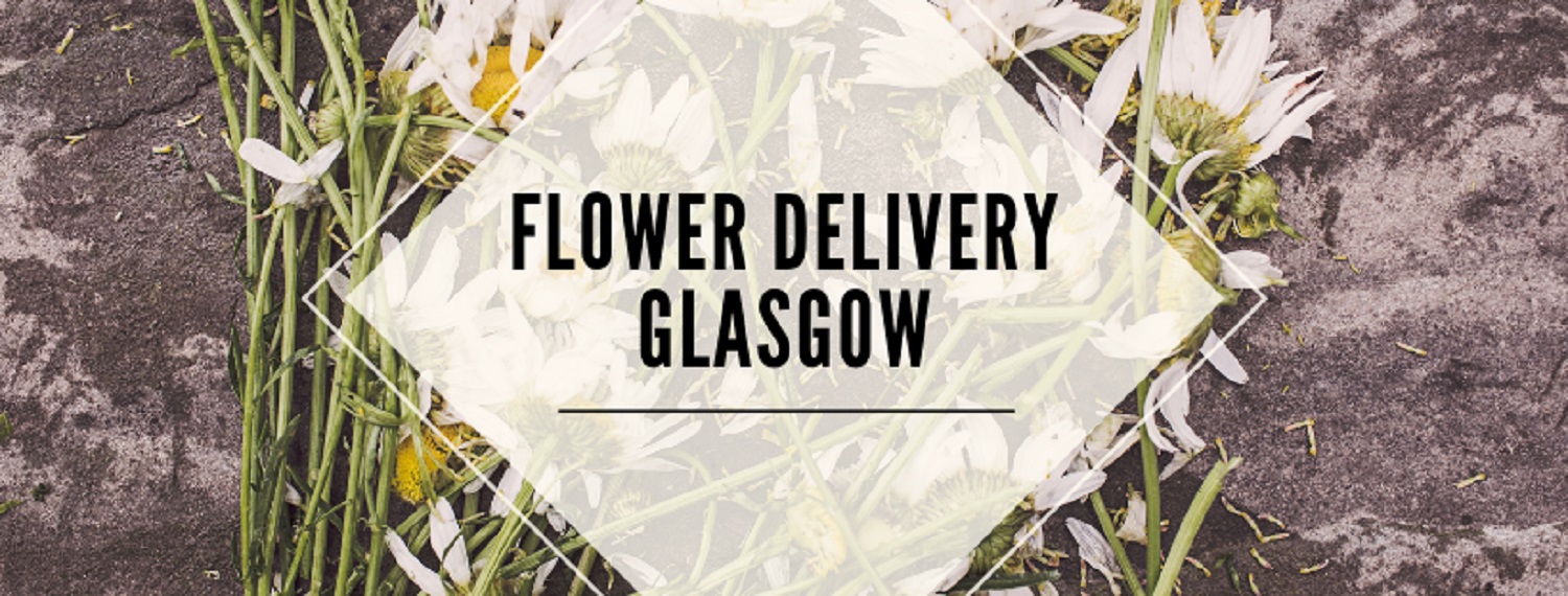 8 Best Options for Flower Delivery in Glasgow