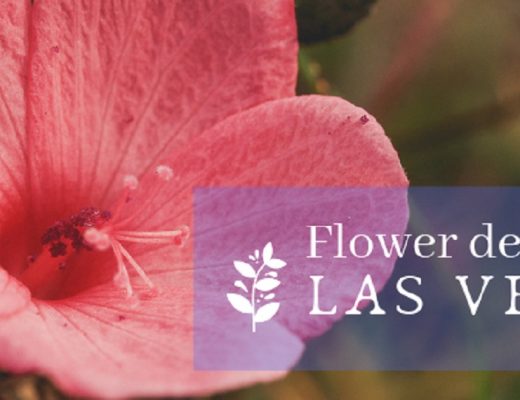 The 15 Best Options for Flower Delivery in Las Vegas