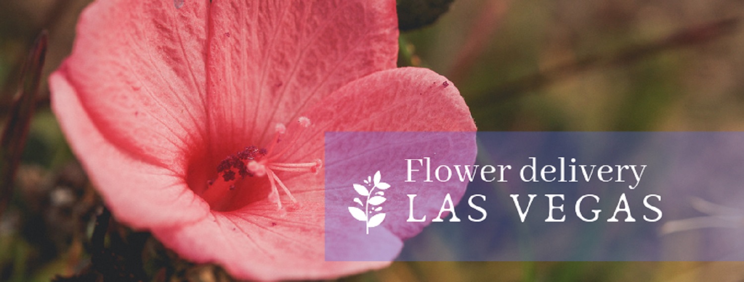 8 Best Options for Flower Delivery in Las Vegas