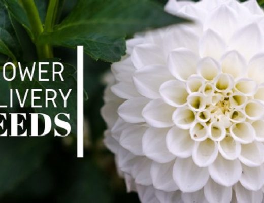 The 10 Best Options for Flower Delivery in Leeds
