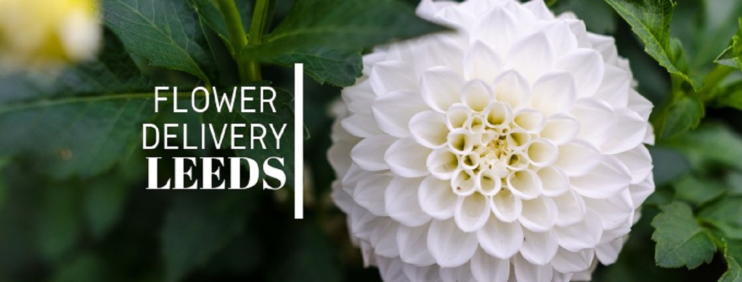 8 Best Options for Flower Delivery in Leeds