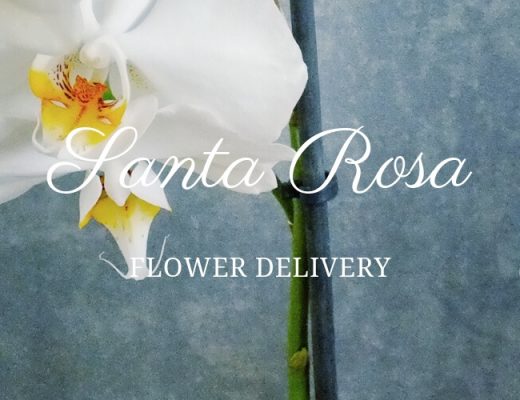 The 8 Best Options for Flower Delivery in Santa Rosa