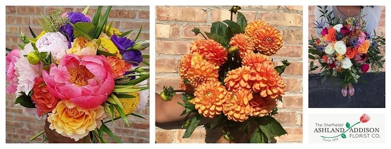 Best Flower Delivery Chicago | Ashland Addison